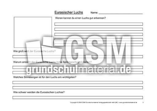 Luchs-Fragen-2.pdf